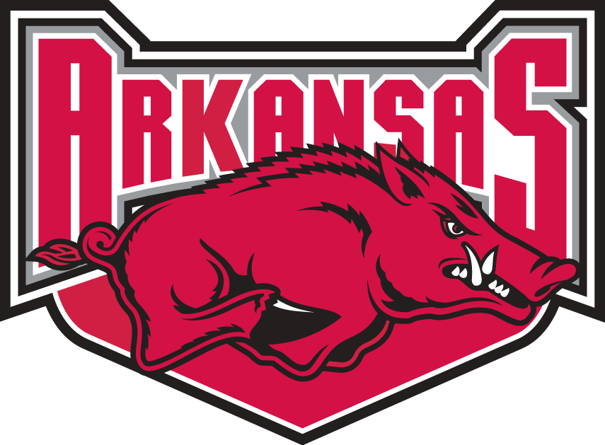 Arkansas Razorbacks 2001-2008 Alternate Logo t shirts DIY iron ons